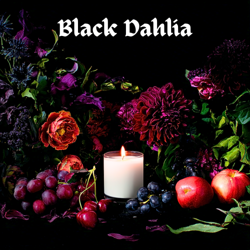 Wax cube melts 2 ounce