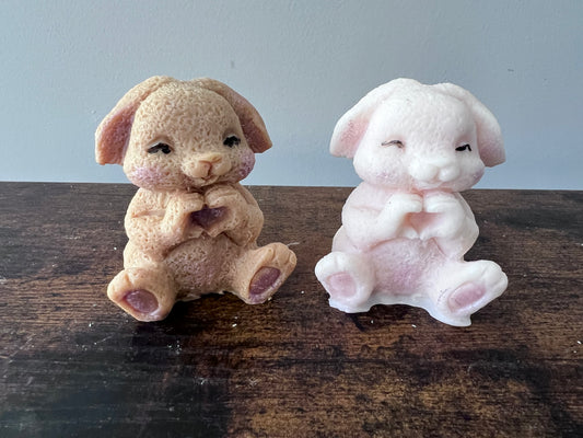Easter Bunny - Heart Hands