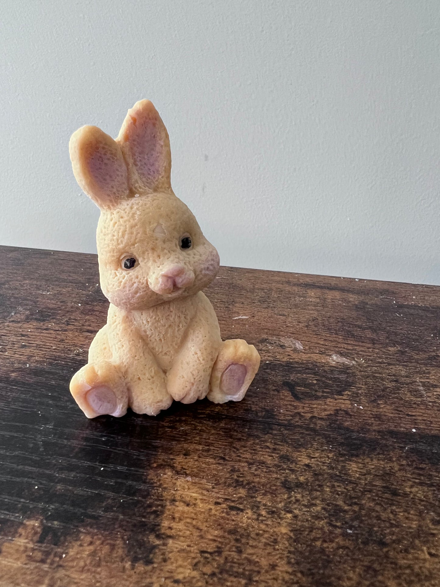 Easter Bunny - Curious
